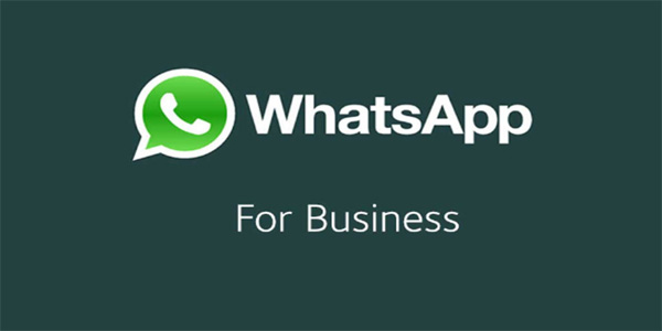 WhatsApp is writing a custom message for large enterprises