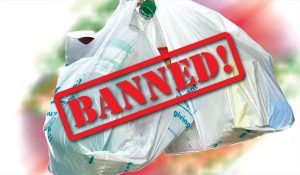 Maharashtra Plastic ban