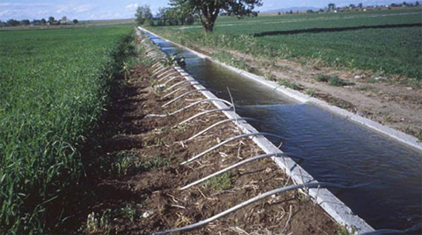 Maharashtra government plans higher investment in micro-irrigation project