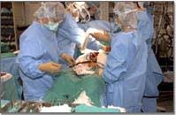 Successful Liver Transplant Surgery At Wockhardt Hospital Nagpur