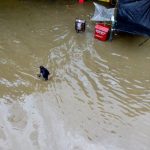 Heavy rain in nagpur (5)