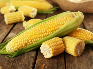 Sweet corn