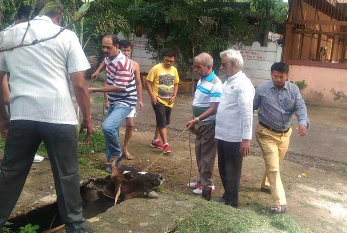 ड्रेनेज लाईन