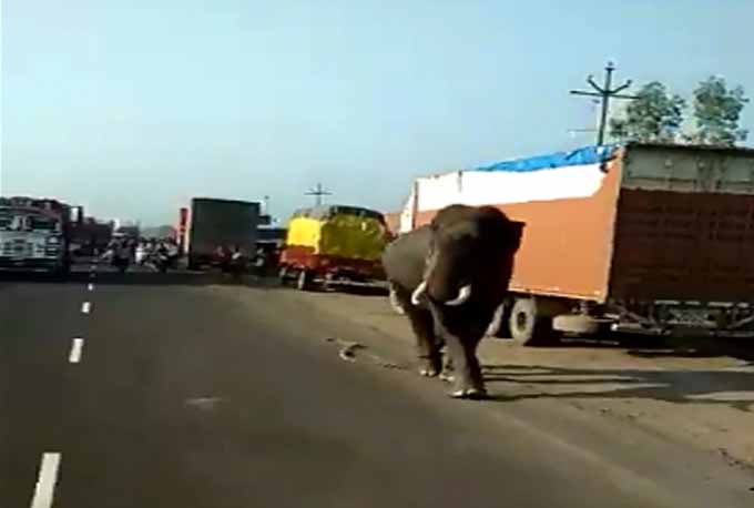 Nagpur-Hyderabad highway