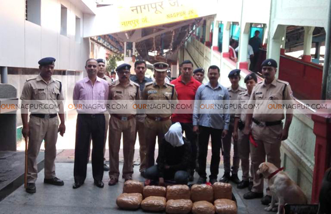 नागपुर स्टेशन पर आरपीएफ ने पकड़ी गांजे की खेप