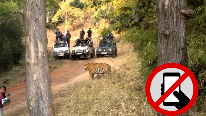 Mobile ban in Tadoba National Park from December 1