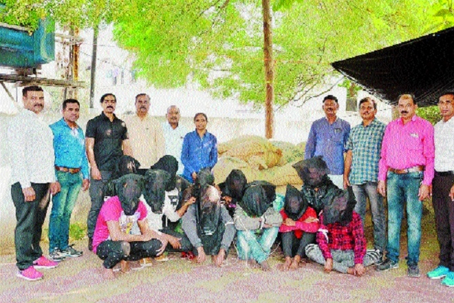 Nagpur Crime Branch cracks betel nut theft case within 24 hrs