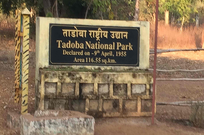 नागपूर