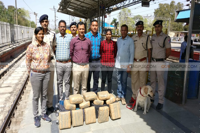 RPF men seize marijuana worth Rs 2 lakh at Nagpur station