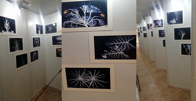 Nagpur : X ray Art Exhibition