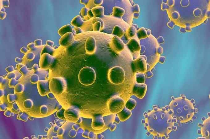 Coronavirus nagpur: पाच प्रकारच्या नवीन स्ट्रेनमुळे नागपुरात करोनाचा उद्रेक