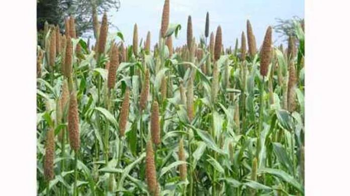 Kharif crops