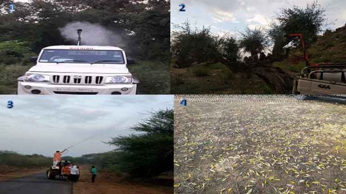 Locust control operations Locust control operations