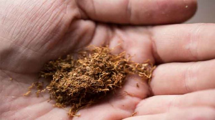 तंबाखू तंबाखू