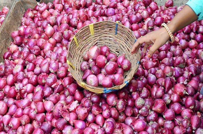 onions price