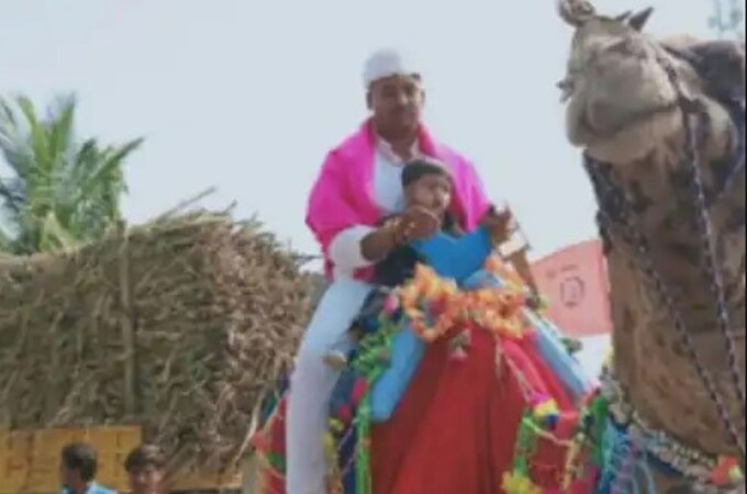 beed wedding ना गाडी, ना घोडा चक्क उंटावर नवरदेवाची वरात; कारण वाचून तुम्हीही पडाल चाट