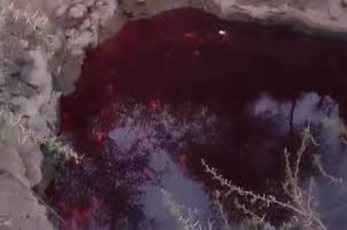 petrol चोरीसाठी फोडली पेट्रोल वाहून नेणारी पाईपलाईन ,परिसरातील विहिरीत पेट्रोलच पेट्रोल !