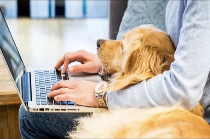 'वर्क फ्रॉम होम' मुळे कंपन्यांना फायदा, वर्षभरात वाचवले ७४०० कोटी रुपये