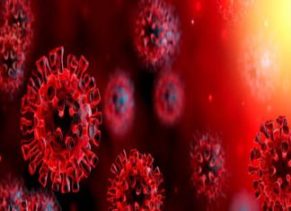 India Reports 2,430 New COVID-19 Cases India Reports 2,430 New COVID-19 Cases | Our Nagpur