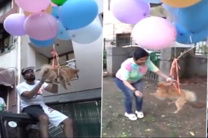 Delhi YouTuber arrested for making pet dog fly with hydrogen balloons
