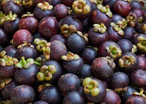 Mangosteen