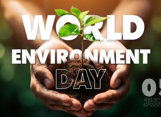 World Environment Day 2024 Slogans , Message , Quotes