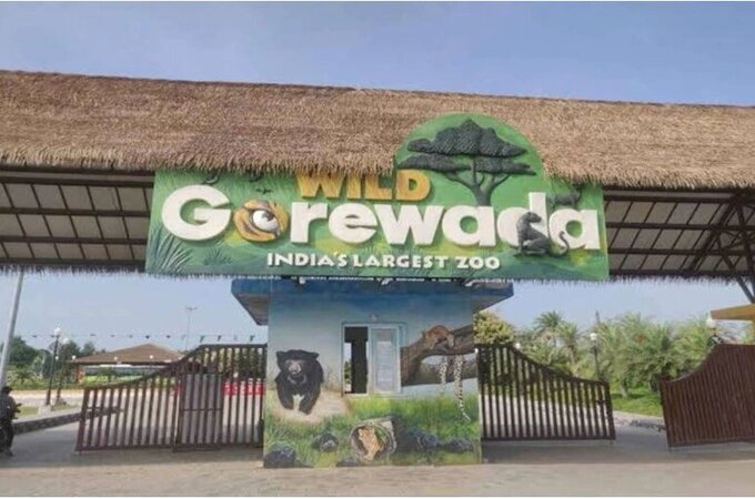 Now, Gorewada Zoo Safari to be a costly affair from Nov 15