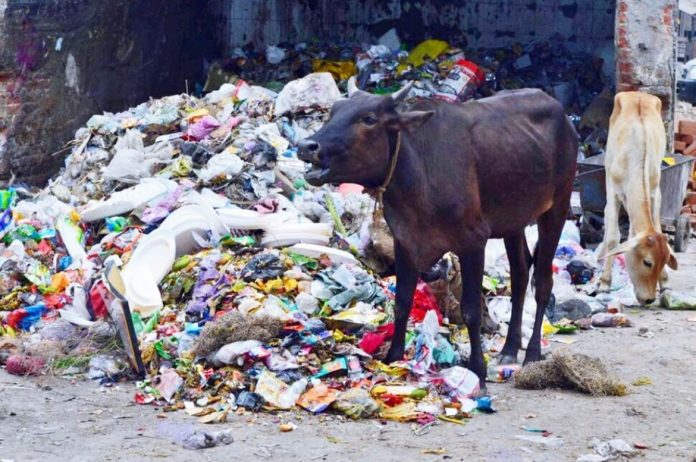 Plastic Free Market Event In Itwari On Friday Plastic Free Market Event In Itwari On Friday