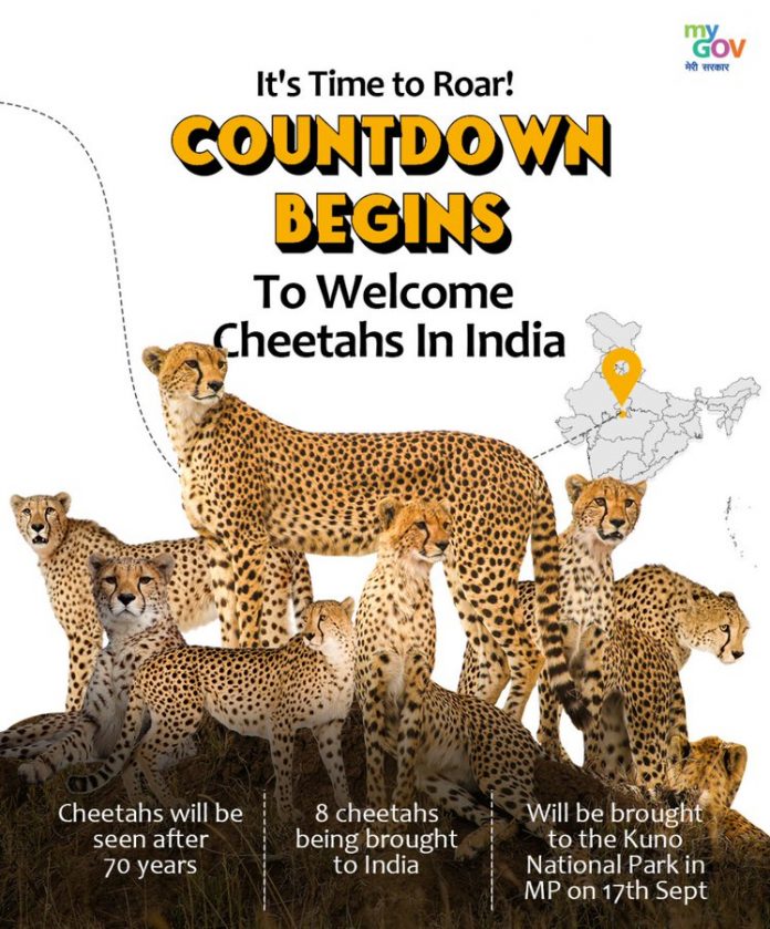 Prime Minister Modi to welcome Cheetahs in India after seven decades at Kuno National Park