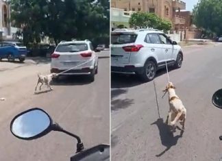 Man dragging dog tied to car, watch video Man dragging dog tied to car, watch video