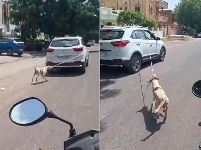 Man dragging dog tied to car, watch video