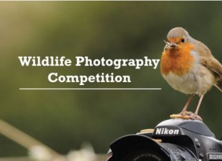 Wild life photography competition from Oct 1, check details below Wild life photography competition from Oct 1, check details below