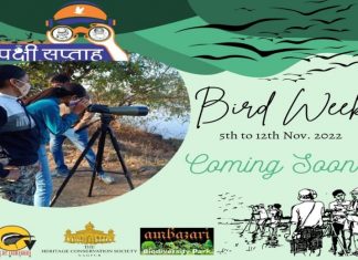 Bird Week in the city from 5th November to 12th November Bird Week in the city from 5th November to 12th November
