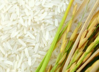 District Agricultural Festival in Nagpur city District Agricultural Festival in Nagpur city