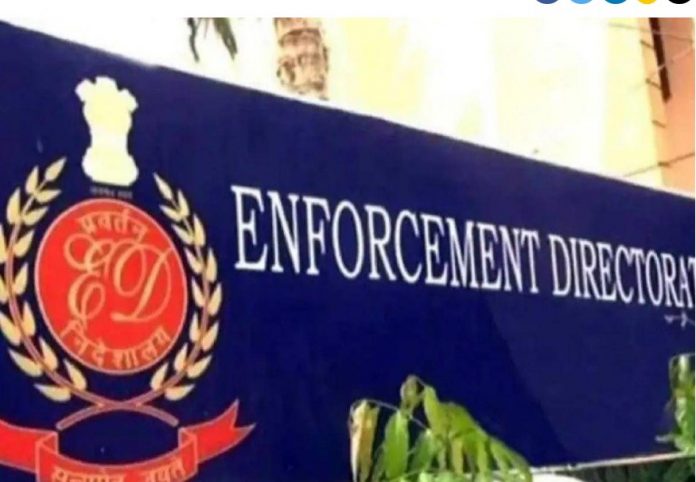 ED seizes unaccounted Betel nuts worth Rs 11.5 crore in Nagpur