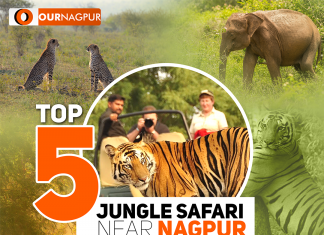 Discover the Thrill of Tiger Safaris Near Nagpur: Top Wildlife Destinations Top 5 Jungle Safari Near Nagpur