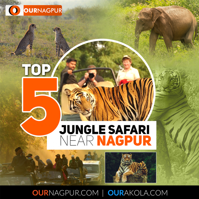 Top 5 Jungle Safari Near Nagpur