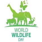 World Wildlife Day 2024: Theme, Wishes, Quotes, History, Significance, and Importance of Wildlife Management