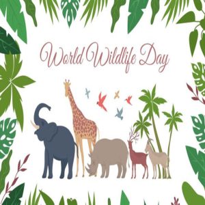 World Wildlife Day 2024: Theme, Wishes, Quotes, History, Significance, and Importance of Wildlife Management