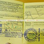 yellow-fever-vaccination-certificate