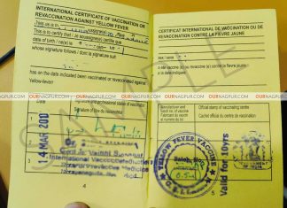 Get Yellow Fever Vaccination in Nagpur for Only 500 INR Before Your Trip! Yellow Fever Vaccination Nagpur