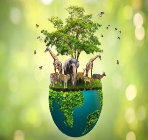 World Wildlife Day 2024: Theme, Wishes, Quotes, History, Significance, and Importance of Wildlife Management