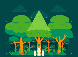 International Day of Forests 2024: Date, Theme, History, Significance & More International day of forests